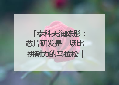 泰科天润陈彤：芯片研发是一场比拼耐力的马拉松｜湘商，向上⑤