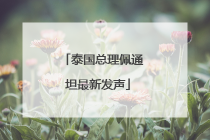泰国总理佩通坦最新发声