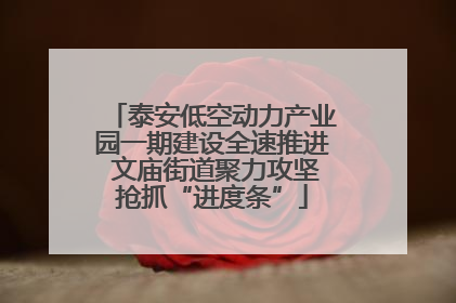 泰安低空动力产业园一期建设全速推进 文庙街道聚力攻坚抢抓“进度条”