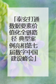 泰安打通数据要素价值化全链路径 典型案例亮相第七届数字中国建设峰会