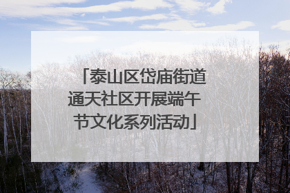 泰山区岱庙街道通天社区开展端午节文化系列活动