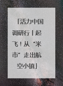 活力中国调研行丨起飞！从“米市”走出航空小镇