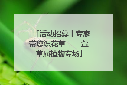 活动招募丨专家带您识花草——萱草属植物专场