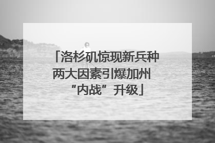 洛杉矶惊现新兵种 两大因素引爆加州“内战”升级