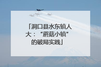 洞口县水东镇人大：“蘑菇小镇”的破局实践