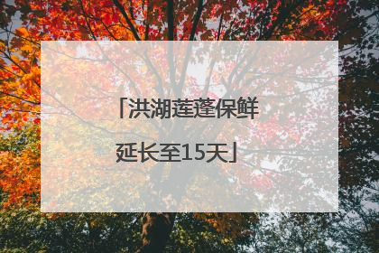 洪湖莲蓬保鲜延长至15天