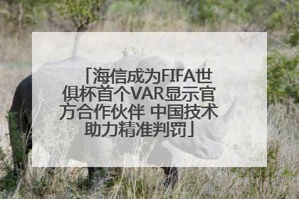 海信成为FIFA世俱杯首个VAR显示官方合作伙伴 中国技术助力精准判罚