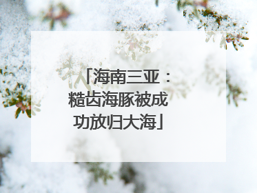 海南三亚：糙齿海豚被成功放归大海