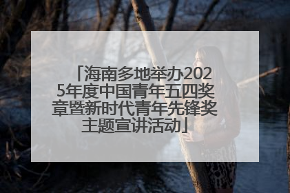海南多地举办2025年度中国青年五四奖章暨新时代青年先锋奖主题宣讲活动