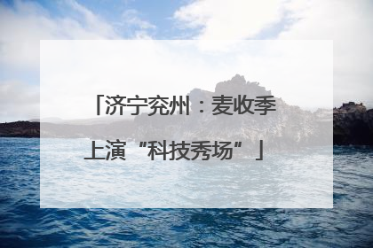 济宁兖州：麦收季上演“科技秀场”