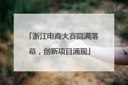 浙江电商大赛圆满落幕，创新项目涌现