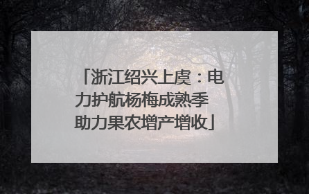 浙江绍兴上虞：电力护航杨梅成熟季 助力果农增产增收