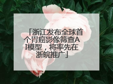 浙江发布全球首个胃癌影像筛查AI模型，将率先在浙皖推广