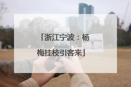 浙江宁波：杨梅挂枝引客来