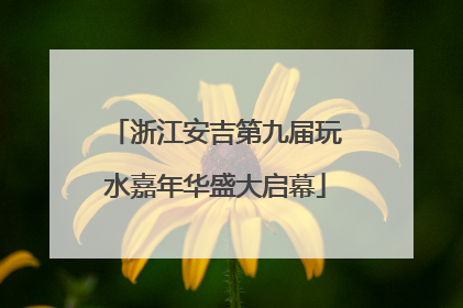 浙江安吉第九届玩水嘉年华盛大启幕