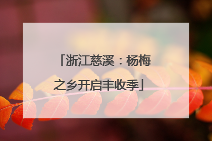 浙江慈溪：杨梅之乡开启丰收季