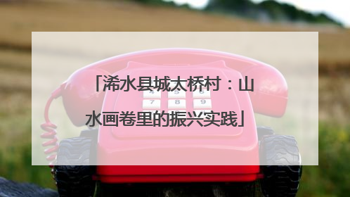 浠水县城太桥村：山水画卷里的振兴实践