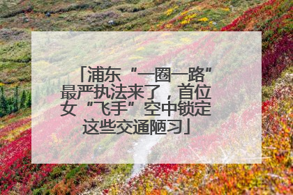 浦东“一圈一路”最严执法来了，首位女“飞手”空中锁定这些交通陋习