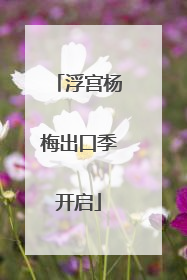 浮宫杨梅出口季开启