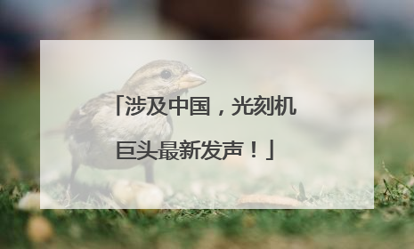 涉及中国，光刻机巨头最新发声！
