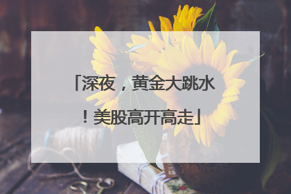 深夜，黄金大跳水！美股高开高走