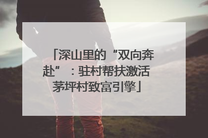 深山里的“双向奔赴”：驻村帮扶激活茅坪村致富引擎