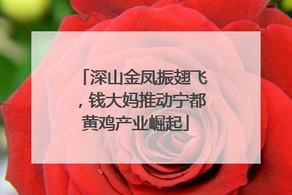 深山金凤振翅飞，钱大妈推动宁都黄鸡产业崛起