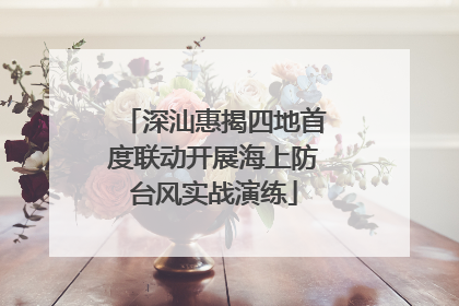 深汕惠揭四地首度联动开展海上防台风实战演练