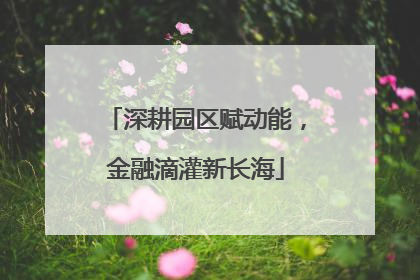 深耕园区赋动能，金融滴灌新长海