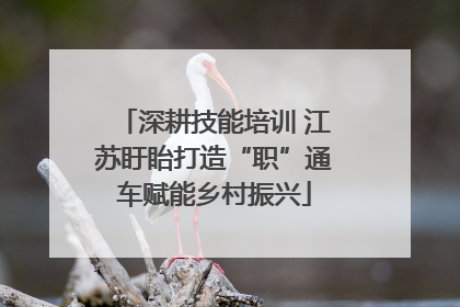 深耕技能培训 江苏盱眙打造“职”通车赋能乡村振兴