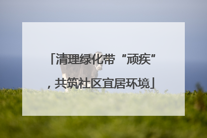 清理绿化带“顽疾”，共筑社区宜居环境
