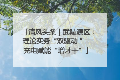 清风头条｜武陵源区：理论实务“双驱动 ” 充电赋能“增才干”