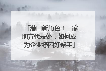港口新角色！一家地方代表处，如何成为企业纾困好帮手