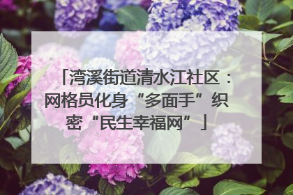 湾溪街道清水江社区：网格员化身“多面手”织密“民生幸福网”