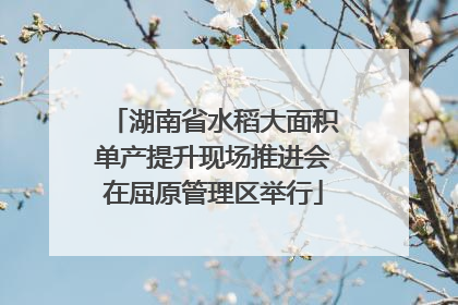 湖南省水稻大面积单产提升现场推进会在屈原管理区举行