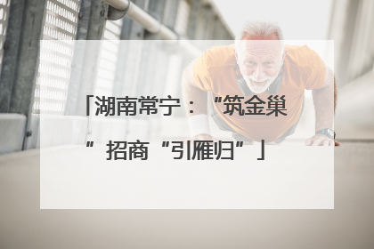 湖南常宁：“筑金巢”招商“引雁归”