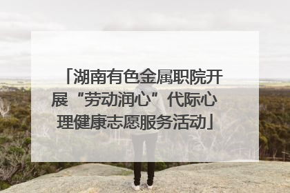 湖南有色金属职院开展“劳动润心”代际心理健康志愿服务活动