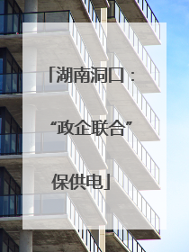 湖南洞口：“政企联合”保供电