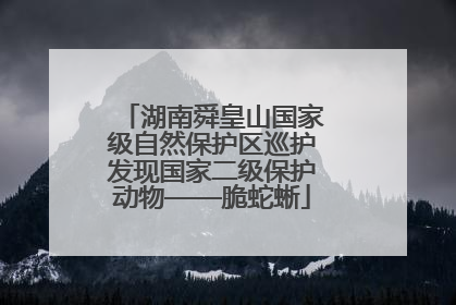 湖南舜皇山国家级自然保护区巡护发现国家二级保护动物——脆蛇蜥