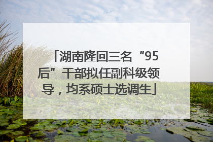 湖南隆回三名“95后”干部拟任副科级领导，均系硕士选调生