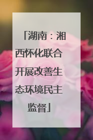 湖南：湘西怀化联合开展改善生态环境民主监督