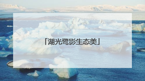 湖光鹭影生态美