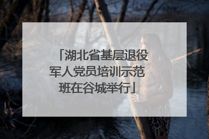 湖北省基层退役军人党员培训示范班在谷城举行
