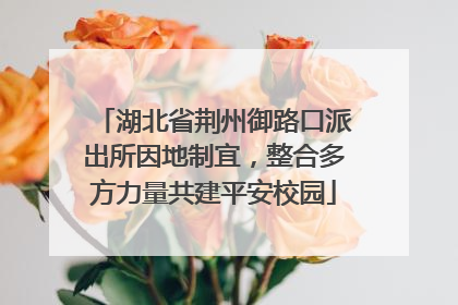 湖北省荆州御路口派出所因地制宜，整合多方力量共建平安校园