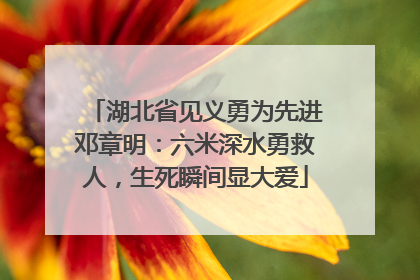 湖北省见义勇为先进邓章明：六米深水勇救人，生死瞬间显大爱