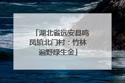 湖北省远安县鸣凤镇北门村：竹林遍野绿生金
