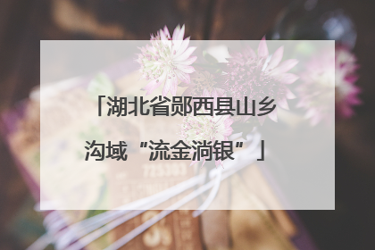 湖北省郧西县山乡沟域“流金淌银”