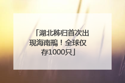 湖北秭归首次出现海南鳽！全球仅存1000只