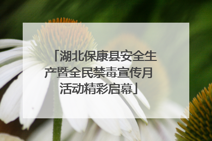湖北保康县安全生产暨全民禁毒宣传月活动精彩启幕