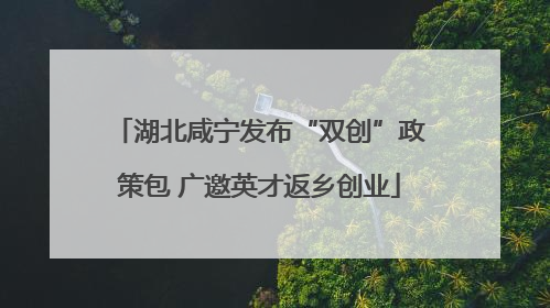 湖北咸宁发布“双创”政策包 广邀英才返乡创业